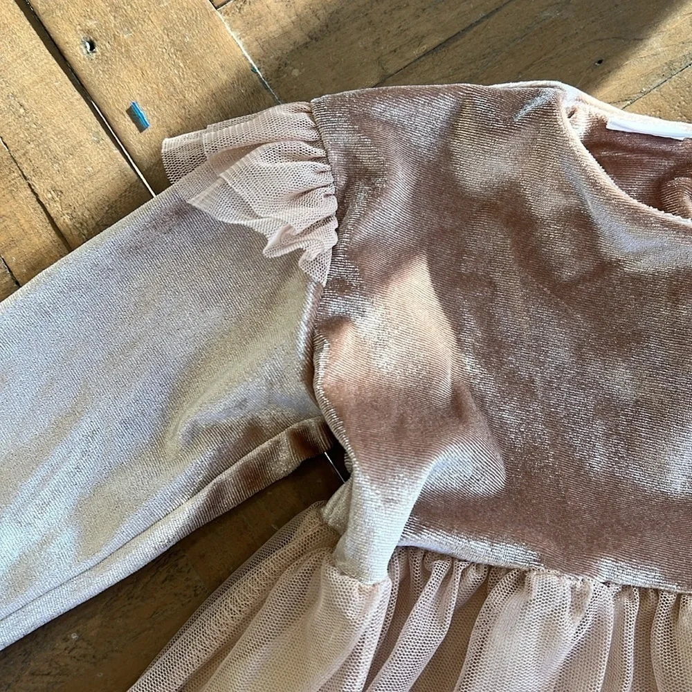 Zara rosy tan velour tulle dress